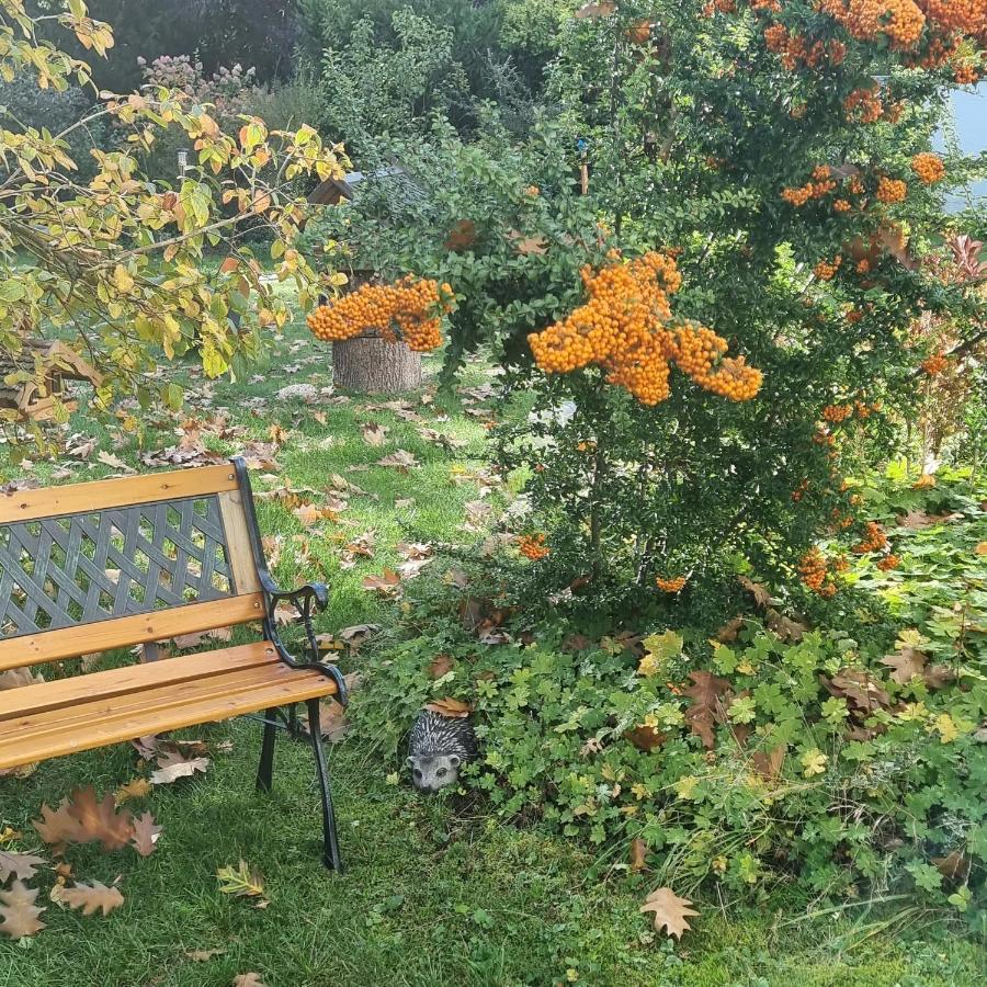 Appartement Gemuetliche Gaestewohnung Mit Garten Wolfsbourg